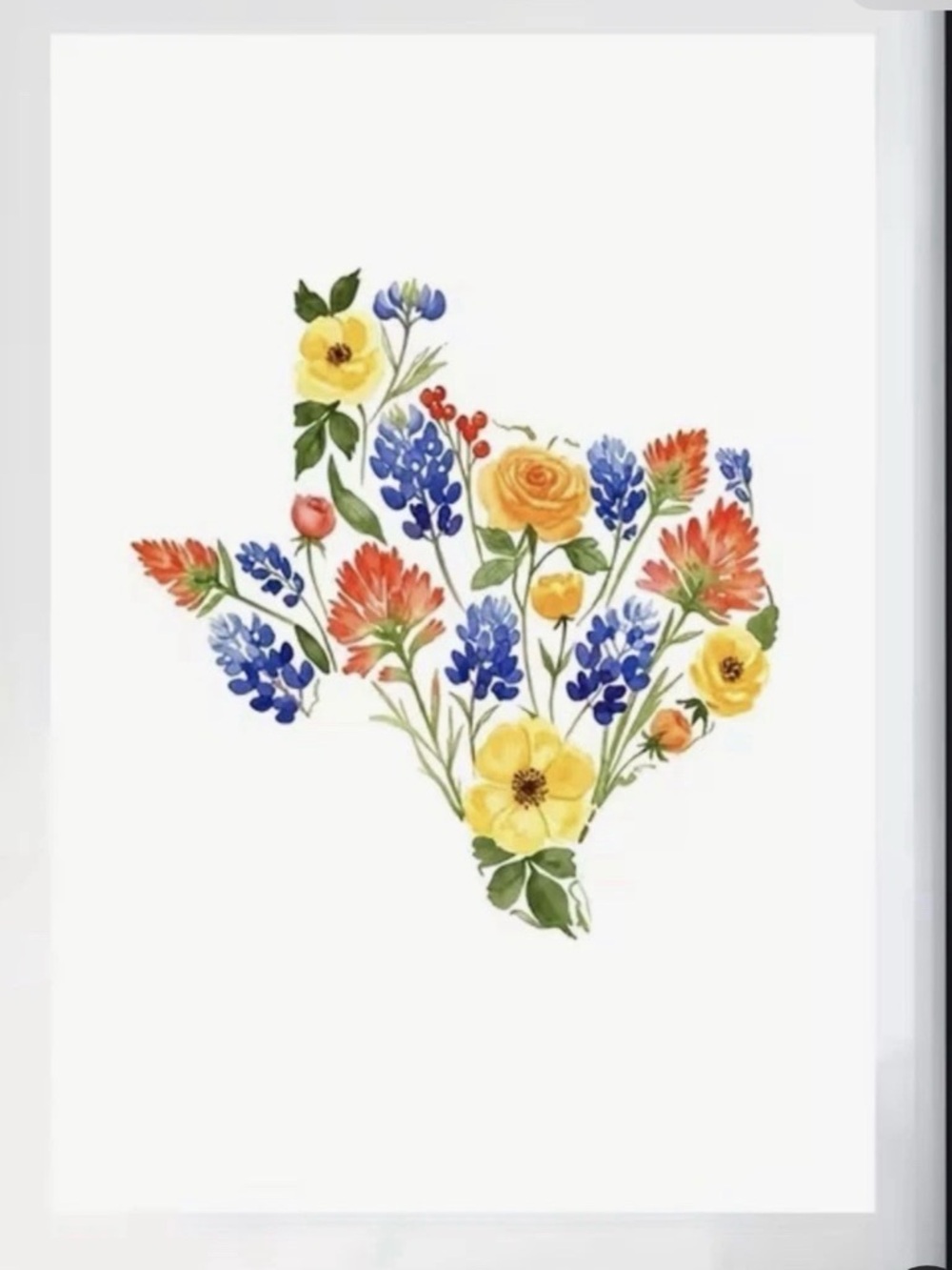 Tx &floral Print white canvas wall art brand new size 16x24 in. NO FRAME!!! #402